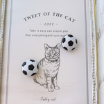 サッカーボールピアス