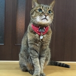 chao_chao_24様専用オーダー