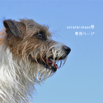 soraharukaze様専用ページ