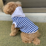 マリンボーダーパーカー　犬服