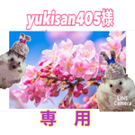 yukisan405様専用　春用Ｌサイズ寝袋（中フリースタイプ）