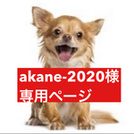 専用ページ