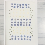 忘れな草  押し花 (3色)
