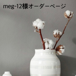 meg-12様専用ページ