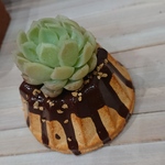 モルタルケーキチョコナッツクグロフ