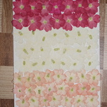 押し花商品【バーベナ白ピンク】
