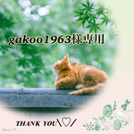 gakoo様専用♡