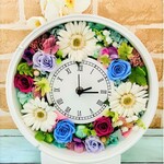 花時計・ホワイトガーベラ１