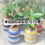 isemi4ib様専用