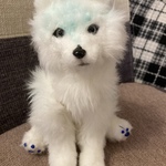 【0様専用ページ】柔らかい空を駆ける幻獣さん
