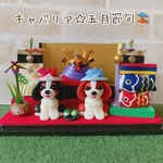 キャバリア☆５月節句
