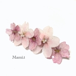 《Mami.t》本物の桜のバレッタ