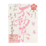 不動桜