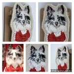 シェルティ　うちの子刺繍　オーダーメイド　6cmブローチ