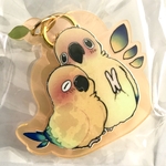 コガネアクキー
