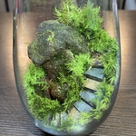 苔テラリウム　LEDライト蓋付き 苔生す磐座