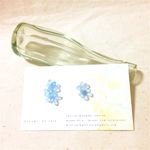 fleurs bleues pures