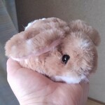 受注生産・真ん丸子ウサギ（鹿の子耳垂れ）