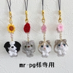 mr-pg様専用ページ