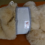 M様ご予約品　マナーベルト犬用　４８～５２センチ