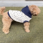 小さな星柄パーカー　犬服