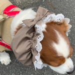 犬スヌード　ブラウンコットン生地　取り外しブラウンコットンリボン止め　新作スヌード💕