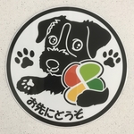 ジャックラッセルテリアステッカーお先にどうぞ(高齢者マーク)