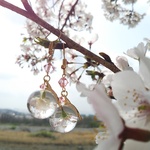 本物桜入り　しがみつく猫　スワロつなぎ耳飾り　