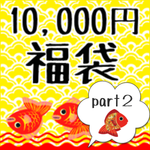 １万円福袋　第二弾★お気に入りに入れて送料無料★レジン液　クリア　65g　10本