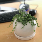 Green on desk グリーンネックレス