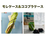 モレケース&ココブラケース　パウスカートケース　プニウケース　タヒチアンダンス　フラダンス　ハワイ