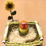 ボタンインコちゃん（ヤマブキボタン）