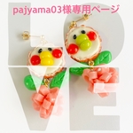 pajyama03様専用ページ