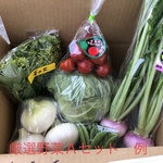 静岡厳選野菜セットＡ