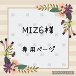 MIZ6さま　専用ページ(*´꒳`*)