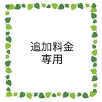追加料金　専用
