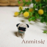 モールちびわんこ　パグ　子供　　　いぬ　犬