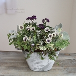 ラピスラズリPlantsギャザリング