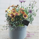 happy flowe🌼🌼春のボリューム寄せ植えꕤ*.ﾟお花の贈り物