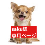 専用ページ　　パステル