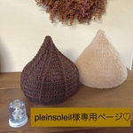 pleinsoleil様専用ページ♡