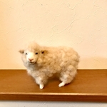 羊