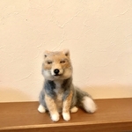 フォロワー500人記念　チベットスナギツネ　ピンブローチ付特別セット