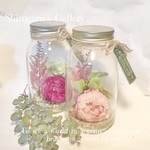Peony and Astilbe…    2種類