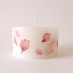 桜の花キャンドル-medium-SAKURA013