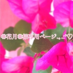 花月様専用ページ.｡.:*♡