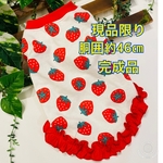 いちご柄☆46☆すそフリル☆完成品☆現品限り☆送料無料☆犬服☆ハンドメイド☆あんころもち  