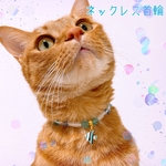 猫の首輪🐈ブルー系マリンビーズ✨ネックレス首輪♡魚チャーム🐟