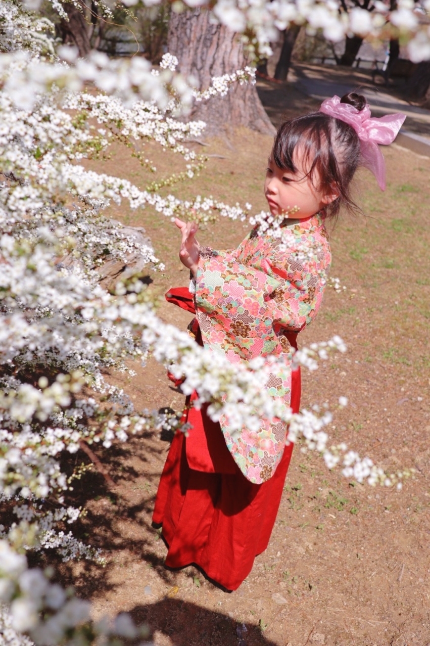 子供着物の人気通販 Minne 日本最大級のハンドメイド 手作り通販サイト 子供着物の人気通販 Minne 日本最大級のハンドメイド 手作り通販サイト