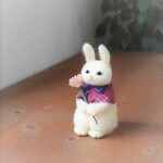 ウサギとカーネーション★全国発送一律４００円